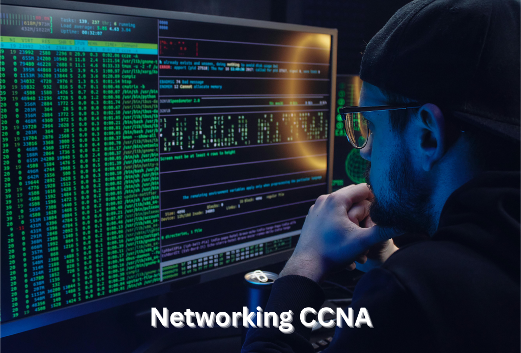 Networking CCNA | Global Alliance Academy